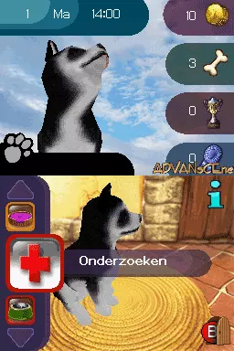 Image n° 3 - screenshots : Best Friends - Mijn Honden en Katten